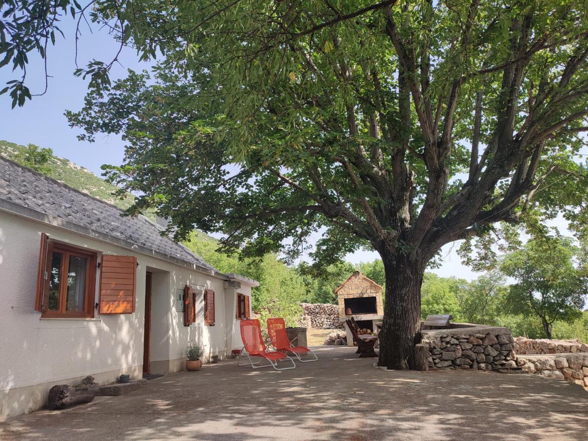 Holiday Home Lucija "" Private House With Pool "" Jablanac Exterior photo